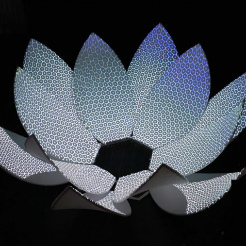Lotus