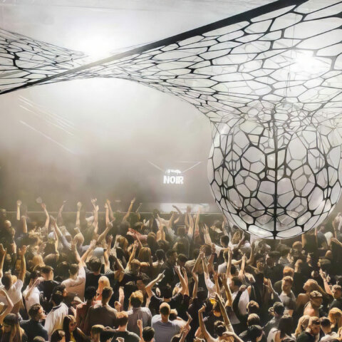 Soirée Ants