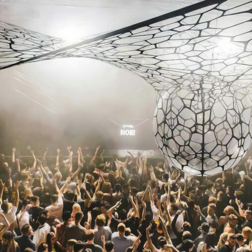 Soirée Ants